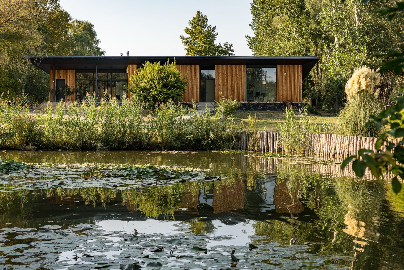 _01_főkép_bata tamás